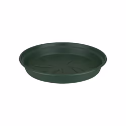 elho green basics saucer 53cm, Soucoupe, Polypropylène, Vert, 553 mm, 553 mm, 60 mm
