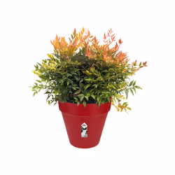 elho loft urban round 40 Extérieure Kit de plantation en pot Autonome Polypropylène (PP) Rouge
