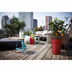elho 8711904302085 accessoire de plantation Soucoupe