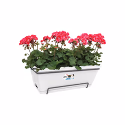 elho barcelona xl allin1 55cm Extérieure Kit de plantation en pot Support Polypropylène (PP) Blanc