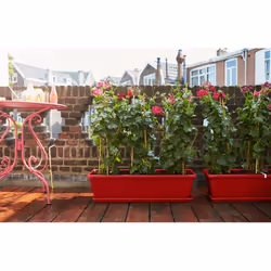 elho barcelona xl allin1 55cm Extérieure Kit de plantation en pot Support Polypropylène (PP) Taupe - Vue supplémentaire 5