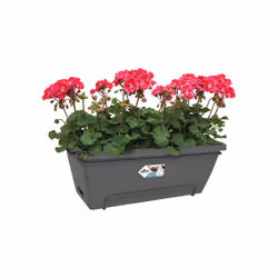 elho barcelona xl allin1 55cm Extérieure Kit de plantation en pot Support Polypropylène (PP) Anthracite