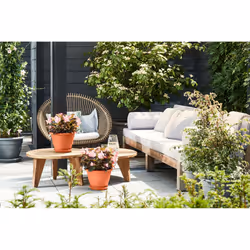 elho 8711904312077 accessoire de plantation Soucoupe