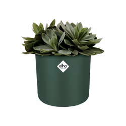 elho 8711904312930 jardinière Vert Plastique