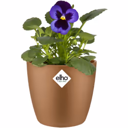 Elho - Bac à fleurs rond jardinière Pêche Bleu Or en plastique pour extérieur jardin terrasse pot de fleurs Or velours / 0.8 Litres