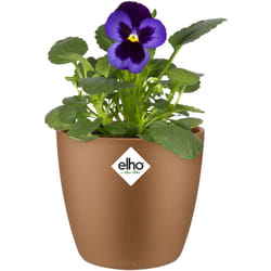 Elho - Bac à fleurs rond jardinière Pêche Bleu Or en plastique pour extérieur jardin terrasse pot de fleurs Or velours / 0.8 Litres