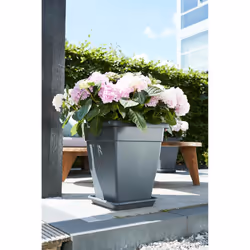 elho 8711904313777 accessoire de plantation Soucoupe