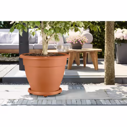elho universal planttaxi 40cm Soucoupe