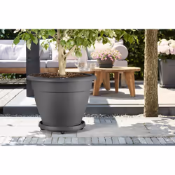 elho universal planttaxi 40cm Soucoupe