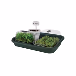 elho green basics garden tray Dessous de pot