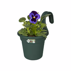 elho 8711904314774 pot à fleurs Extérieure Plastique Vert