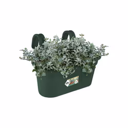 elho green basics easy hanger large Extérieure Kit de plantation en pot Support Polypropylène (PP) Vert