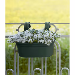 elho green basics easy hanger large Extérieure Kit de plantation en pot Support Polypropylène (PP) Vert - Vue supplémentaire 4