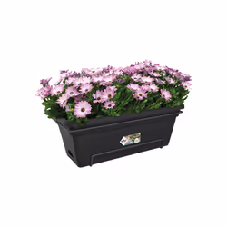 elho 8711904315078 pot à fleurs Extérieure Plastique Noir