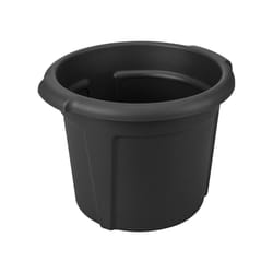 elho green basics potato pot 33cm Extérieure Kit de plantation en pot Autonome Polypropylène (PP) Noir