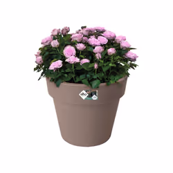 elho green basics top planter 47cm Extérieure Kit de plantation en pot Autonome Polypropylène (PP) Taupe