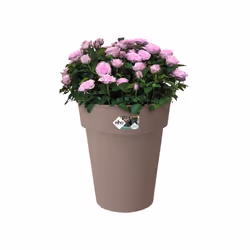 elho 8711904315771 jardinière Marron Plastique