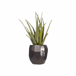 elho pure edge 40 Intérieur & extérieur Kit de plantation en pot Autonome Polyéthylène à basse densité linéaire Anthracite