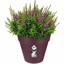 Ajoutez une touche de couleur à votre extérieur ! Esthétique, robuste et recyclable : Ces pots de fleurs au design sobre et e ...