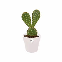 elho 8711904331207 jardinière Blanc Plastique