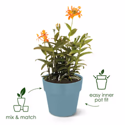 elho 8711904331450 jardinière Jaune Plastique - Vue supplémentaire 10