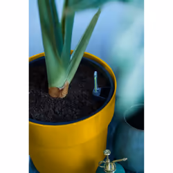 elho 8711904331450 jardinière Jaune Plastique - Vue supplémentaire 5