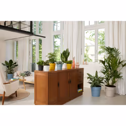 elho 8711904331450 jardinière Jaune Plastique - Vue supplémentaire 7