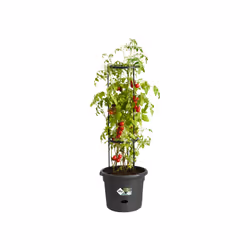 elho 8711904331634 jardinière Noir Plastique - Vue supplémentaire 4