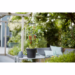 elho 8711904331634 jardinière Noir Plastique - Vue supplémentaire 7