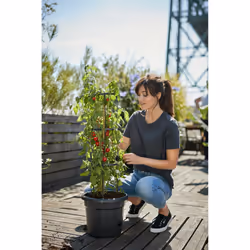 elho 8711904331634 jardinière Noir Plastique - Vue supplémentaire 8