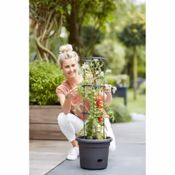 elho 8711904331634 jardinière Noir Plastique - Vue supplémentaire 9