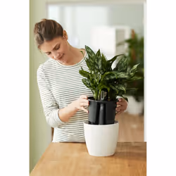 elho 8711904331726 accessoire de plantation - Vue supplémentaire 8