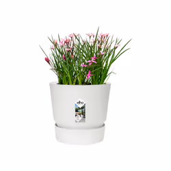 elho 8711904332235 jardinière Blanc Plastique