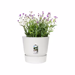 elho 8711904332235 jardinière Blanc Plastique - Vue supplémentaire 5