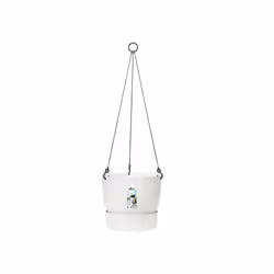 elho 8711904332242 jardinière Blanc Plastique