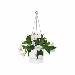 elho 8711904332242 jardinière Blanc Plastique