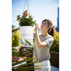 elho 8711904332242 jardinière Blanc Plastique - Vue supplémentaire 5