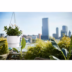 elho 8711904332242 jardinière Blanc Plastique - Vue supplémentaire 6