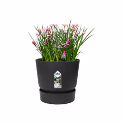 elho 8711904332334 jardinière Noir Plastique - Vue supplémentaire 4