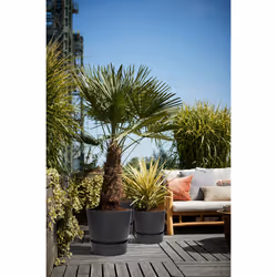 elho 8711904332372 jardinière Noir Plastique - Vue supplémentaire 10