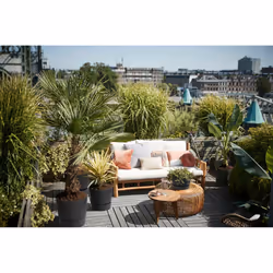 elho 8711904332372 jardinière Noir Plastique - Vue supplémentaire 8