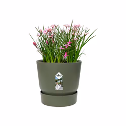 elho 8711904332433 jardinière Vert Plastique - Vue supplémentaire 4