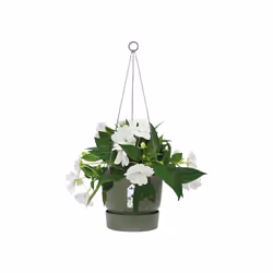 elho 8711904332440 jardinière Vert Plastique