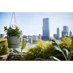 elho 8711904332440 jardinière Vert Plastique - Vue supplémentaire 5
