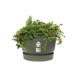 elho 8711904332464 jardinière Vert Plastique
