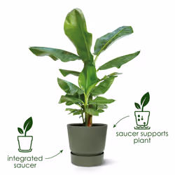 elho 8711904332471 jardinière Vert Plastique - Vue supplémentaire 10