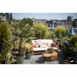 elho 8711904332471 jardinière Vert Plastique - Vue supplémentaire 7