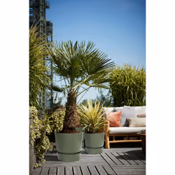 elho 8711904332471 jardinière Vert Plastique - Vue supplémentaire 8