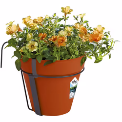 La petite touche de verdure en plus pour votre jardin et balcon Esthétique, robuste et recyclable : Cette jardinière au desig ...