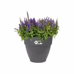 elho 8711904333188 jardinière Noir Plastique